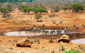Kilaguni Serena Lodge Tsavo West