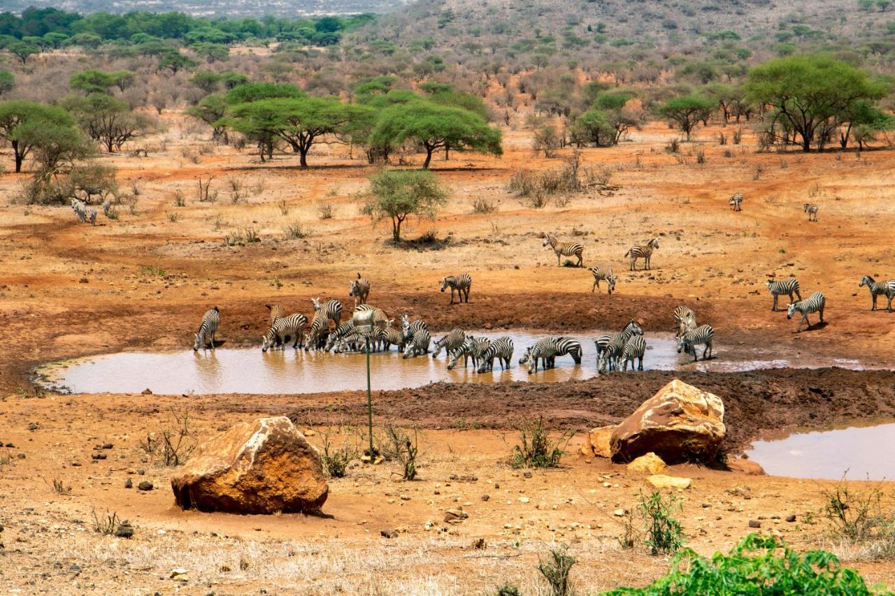Kilaguni Serena Safari Lodge Tsavo Exterior photo