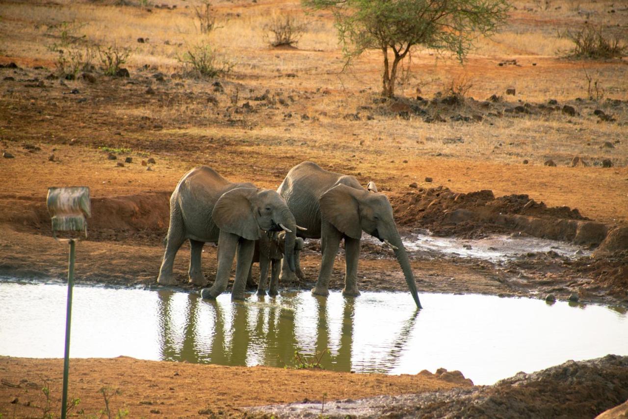 Kilaguni Serena Safari Lodge Tsavo Exterior photo