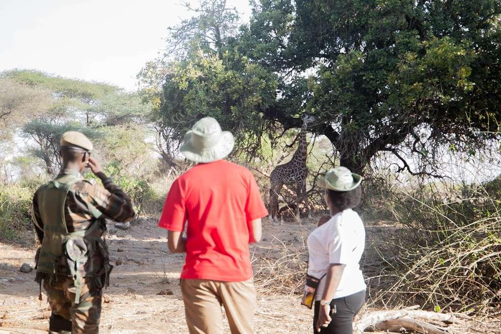 Kilaguni Serena Safari Lodge Tsavo Facilities photo